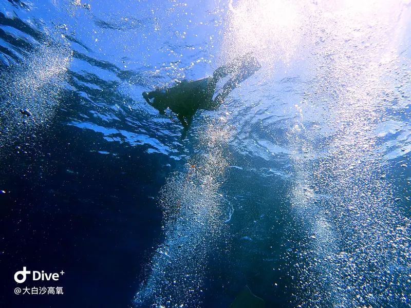 #73 DaBaiSha Diving Area