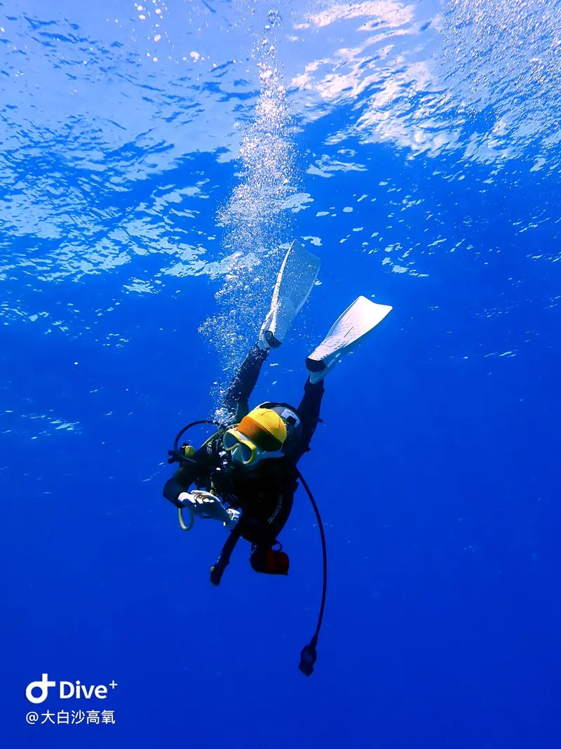 #73 DaBaiSha Diving Area