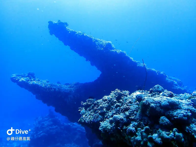 綠島雞仔礁：鱷魚嘴頂流