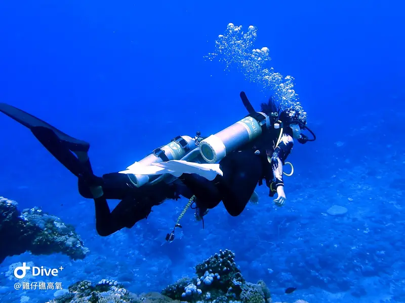 #74 Chicken Reef