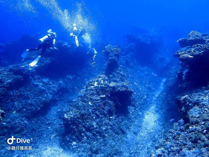 #74 Chicken Reef