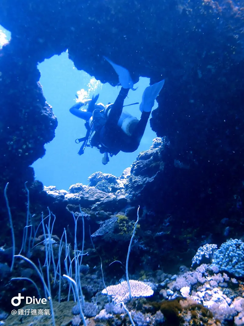 #74 Chicken Reef