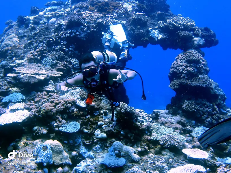 #74 Chicken Reef