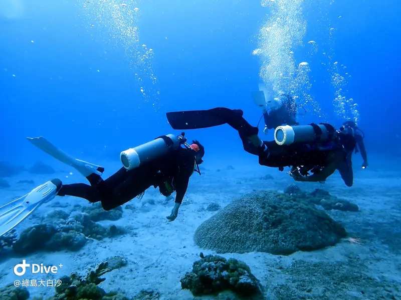 #76 DaBaiSha Diving Area