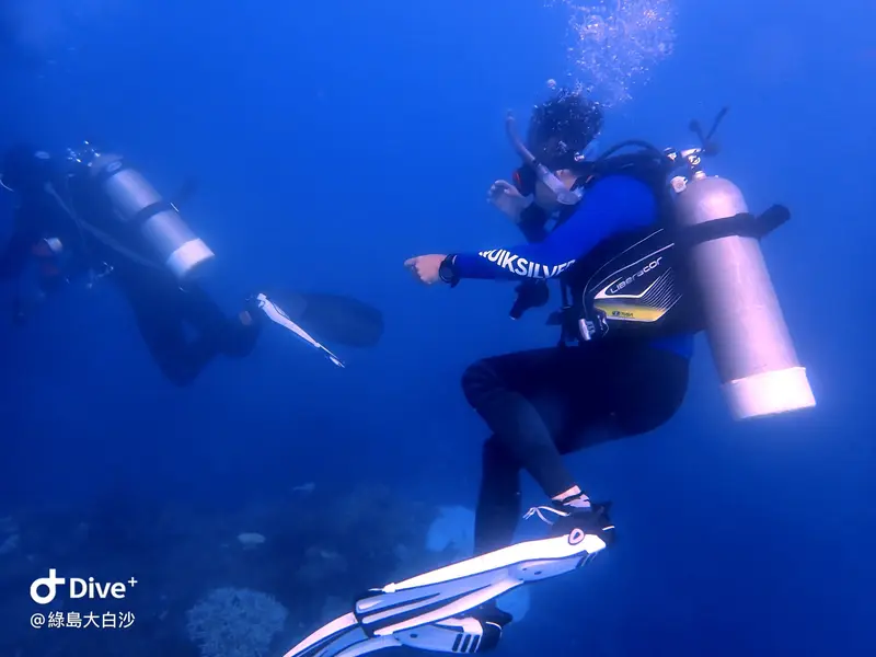 #76 DaBaiSha Diving Area