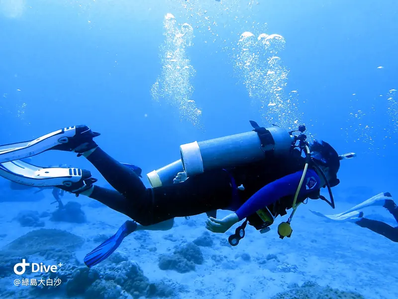 #76 DaBaiSha Diving Area