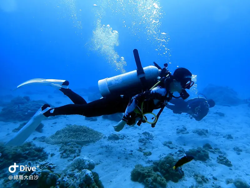 #76 DaBaiSha Diving Area