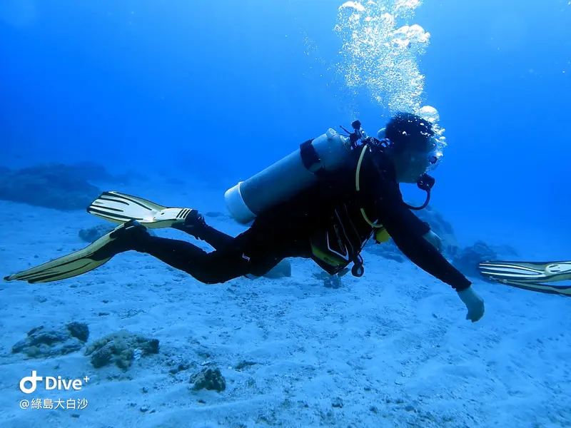 #76 DaBaiSha Diving Area