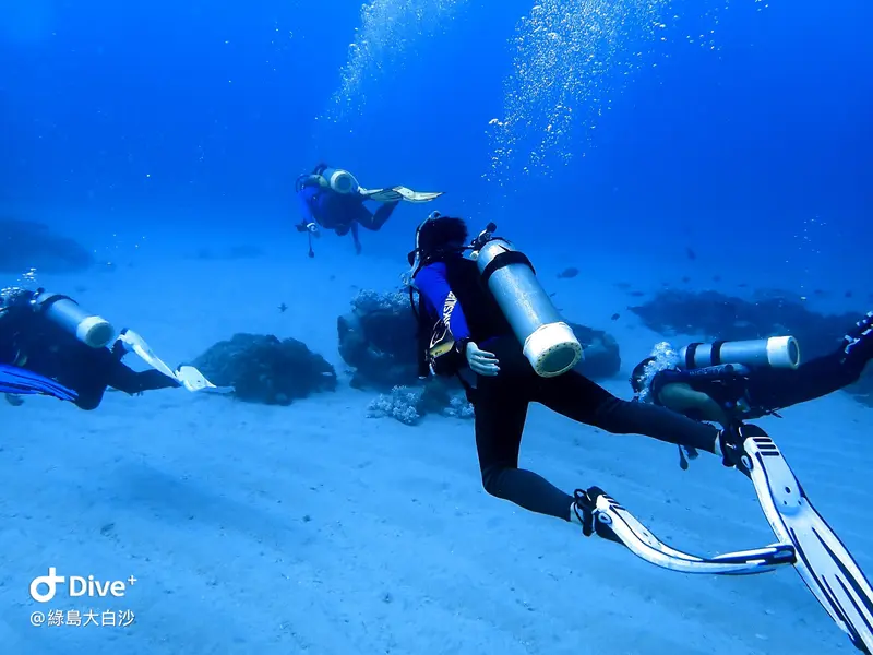 #76 DaBaiSha Diving Area