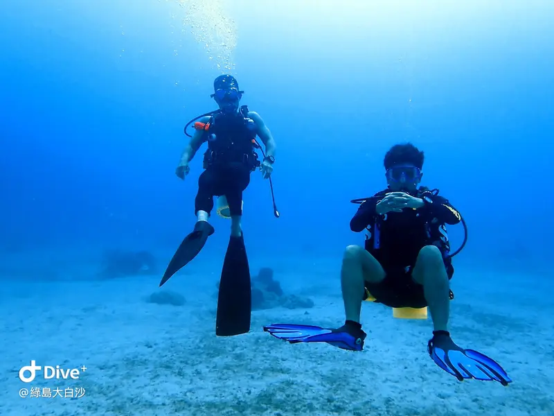 #76 DaBaiSha Diving Area