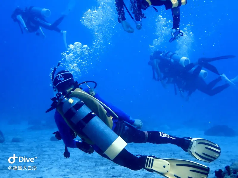 #76 DaBaiSha Diving Area