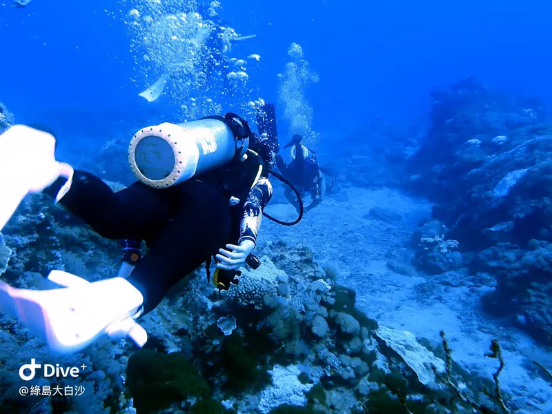 #76 DaBaiSha Diving Area