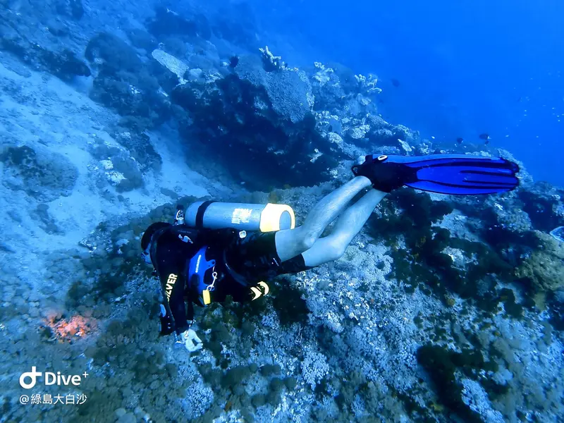 #76 DaBaiSha Diving Area