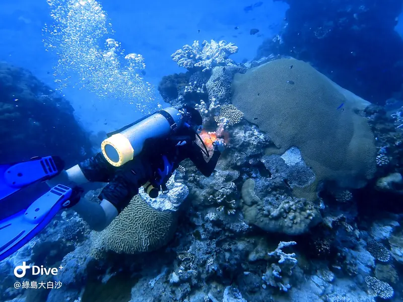 #76 DaBaiSha Diving Area