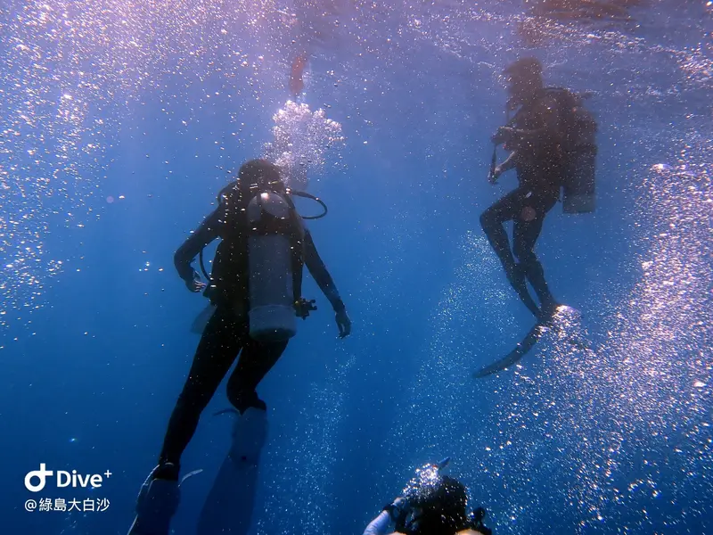 #76 DaBaiSha Diving Area
