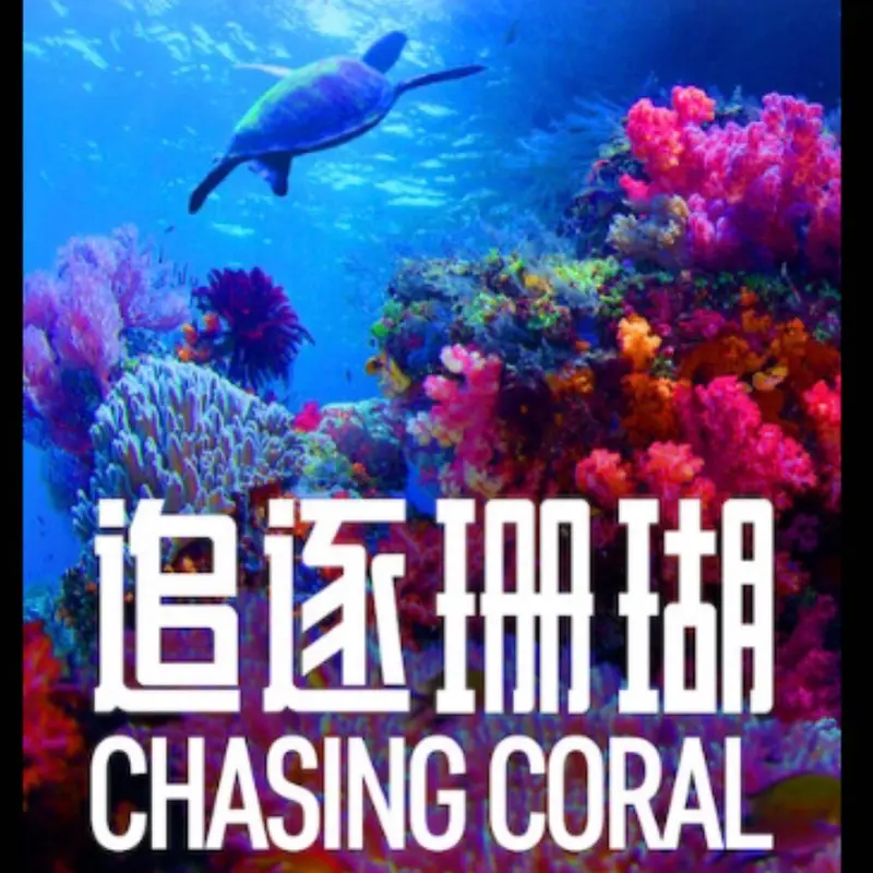 追逐珊瑚(Chasing Coral)