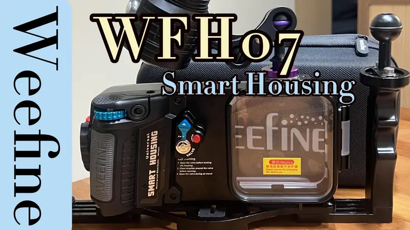 Weefine WFH07 Smart Housing